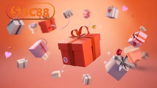 Chương trình thành viên VIP & sự kiện nổi bật