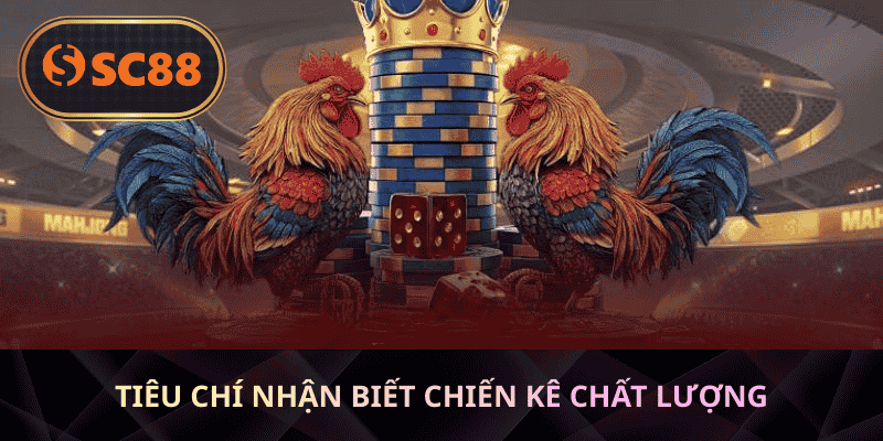 Tiêu chí nhận biết chiến kê chất lượng